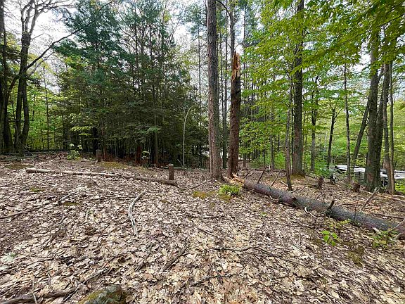 5th image of Map 212, Lot 49 Durrell Mountain Road