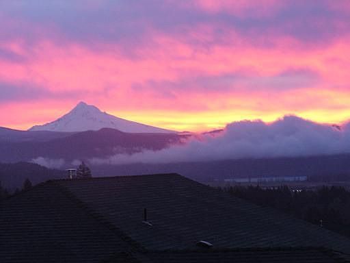 View from deck