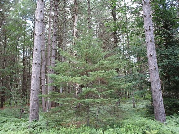 3rd image of Prcl 18 Camp Nokomis Rd