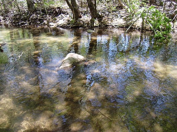 CREEK VIEW DRIVE 009