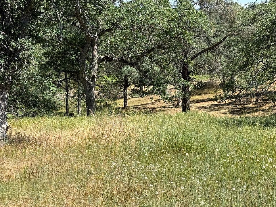 1st image of 16 Horseshoe Dr