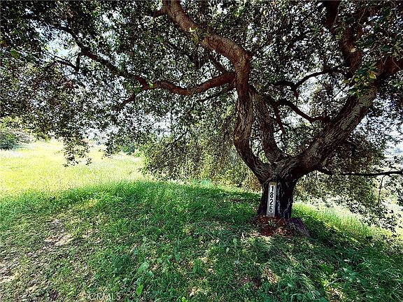 2nd image of 1826 Bluebird Rd Lot 1