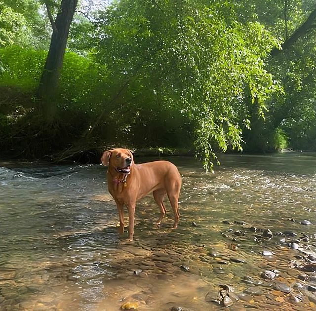 1st image of 5915 River Hollow Trl #758