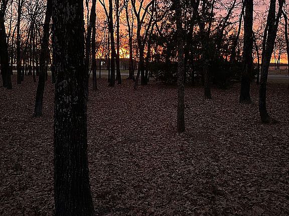 3rd image of 5311 County Road 2442