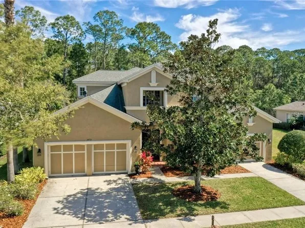 14715 Tudor Chase Dr, Tampa, FL 33626