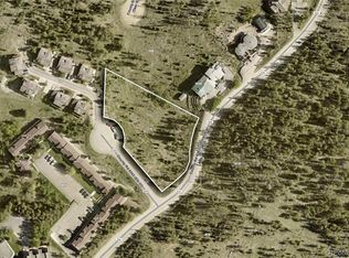 16 County Rd 8343/Elk Court, Fraser, CO 80442