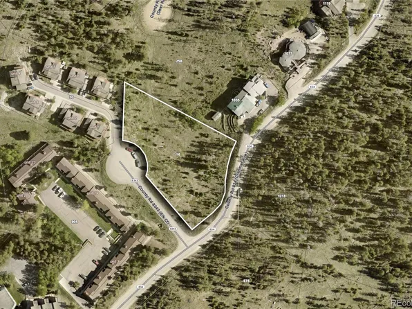 16 County Rd 8343/Elk Court, Fraser, CO 80442