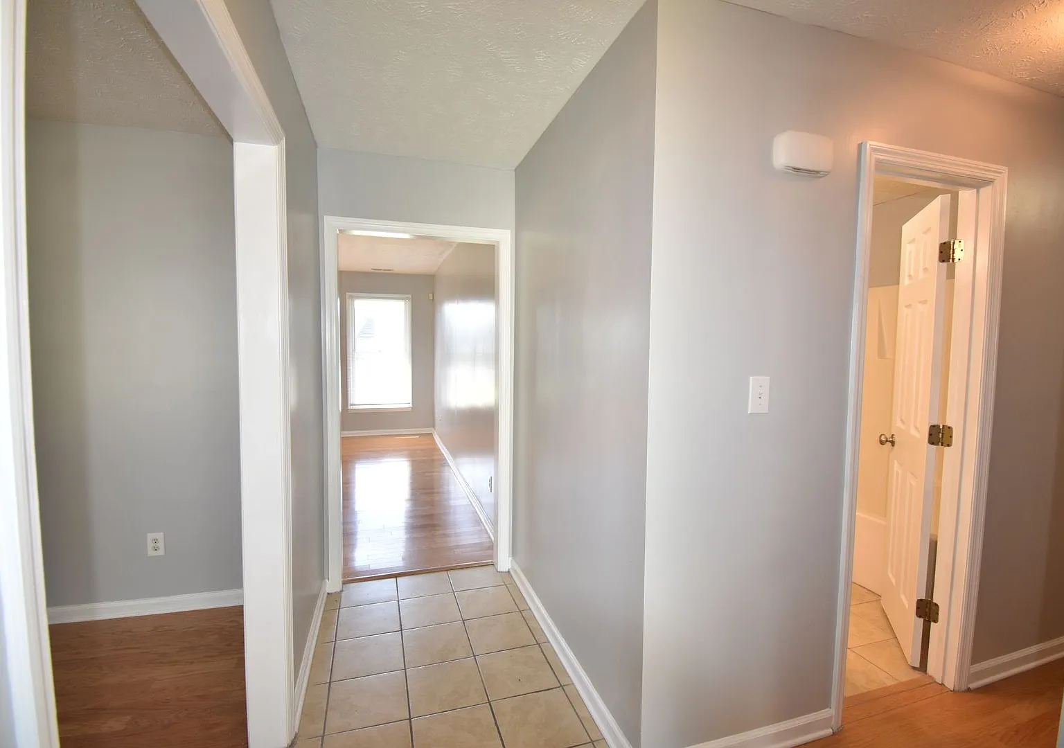 Coming Soon!! 4 Bedroom And 2 Bath Home (Pets Considered) — Photo 3