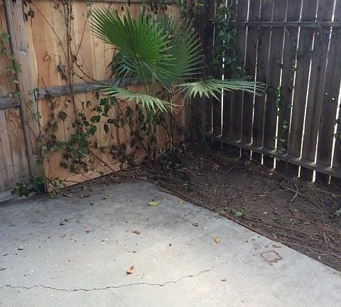 4th image of 2719 Wightman St