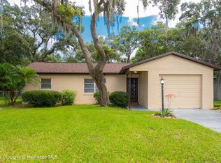 6225 Hillview Rd, Spring Hill, FL 34606