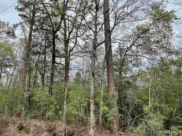 15 Highway 960, Clinton, LA 70722