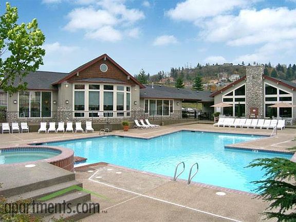 Swimming pool and spa