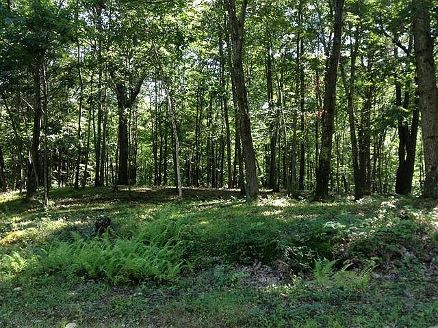 2nd image of 18 Town Farm Rd