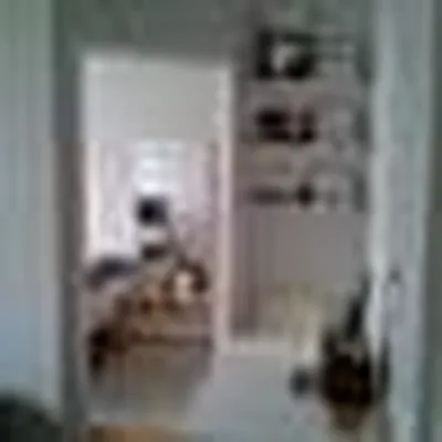 Rented by Standard Realty | media 30