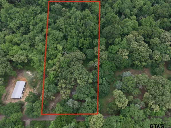 24773 County Road 460, Grand Saline, TX 75140