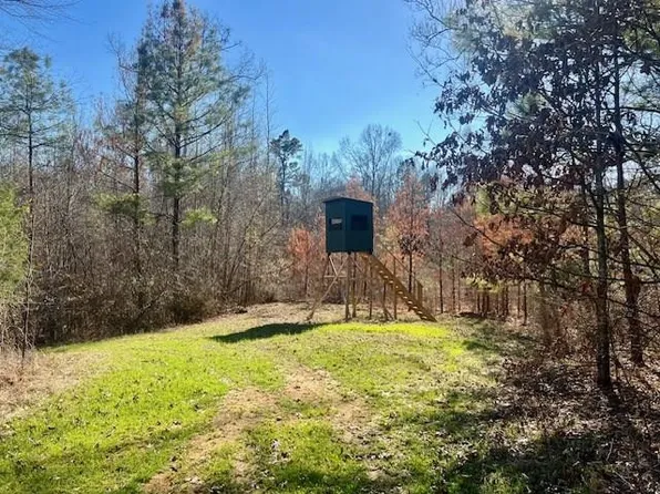 12584 Red Lick Rd, Natchez, MS 39096