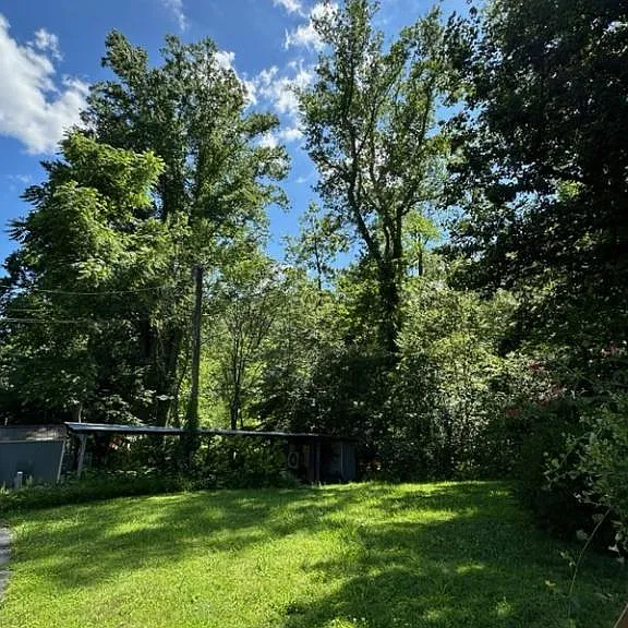 211 Woodland Dr — Photo 12