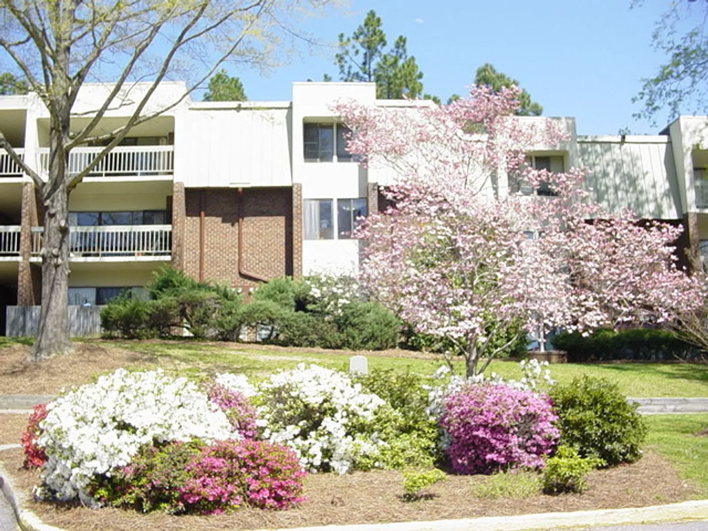 Spacious BR, 1.5BA Condo in Chapel Hill Community! — Photo 2