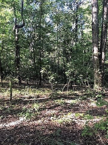2nd image of 1769 A Brown Road