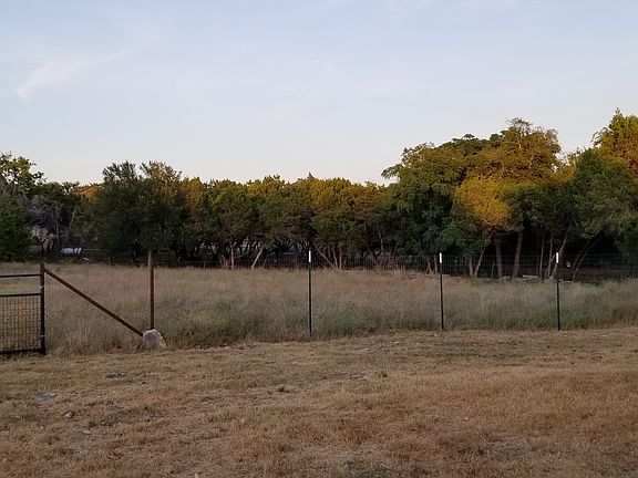 Tree line on Reef Lane