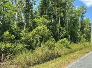 Atlanta Dr LOT 184, Saint Cloud, FL 34773