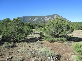 197 Cl&g Cir #2, Gardner, CO 81040