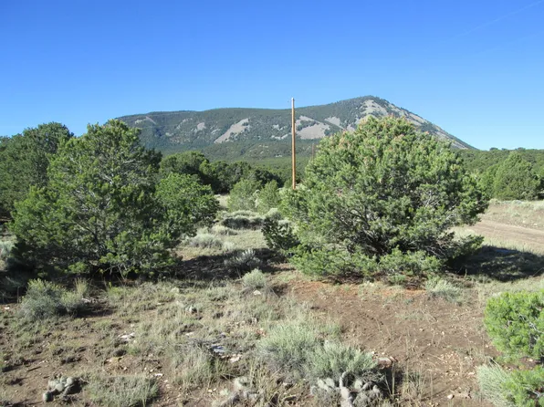 197 Cl&g Cir #2, Gardner, CO 81040