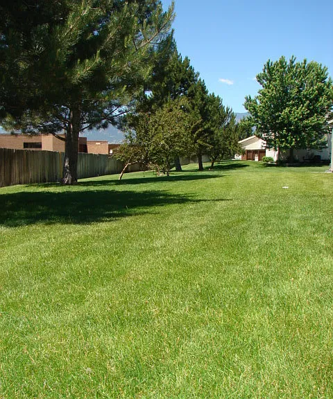 4307 Hunting Meadows Cir — Photo 13