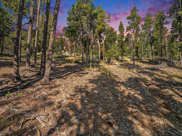 231 Granite Dr, Drake, CO 80515