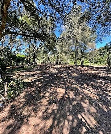 Ready for your dream home