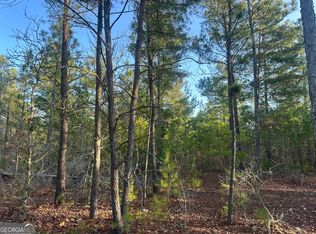 Horne Rd, Roberta, GA 31078