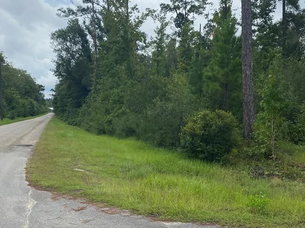 Canning Dr, Wewahitchka, FL 32465