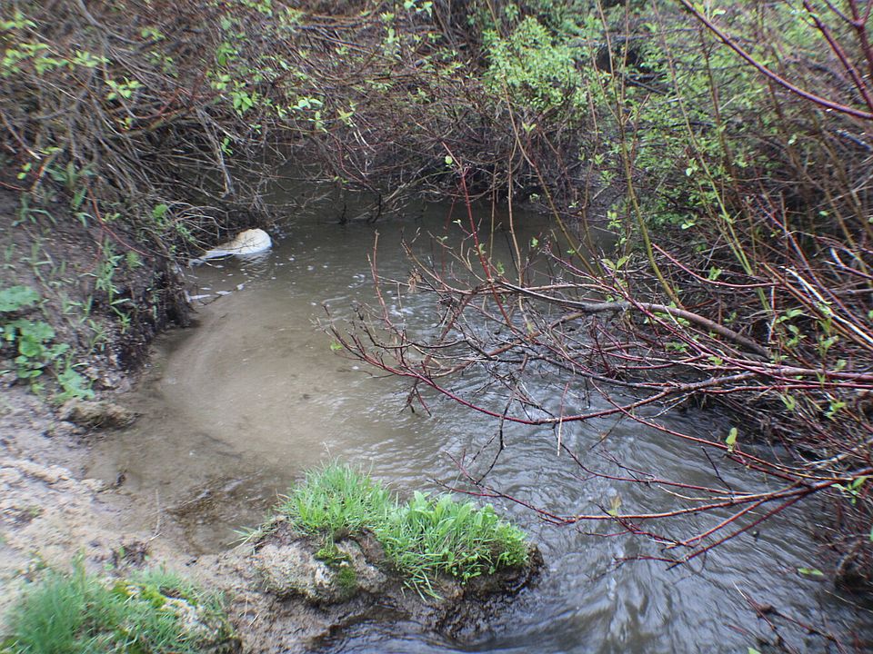 Creek on property