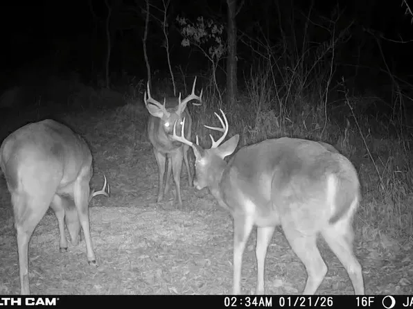 450 State Highway 542, Jackson, KY 41339