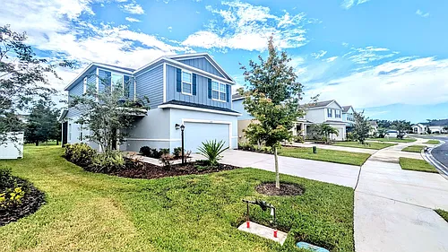 5429 Spanish Moss Cv Photo 1