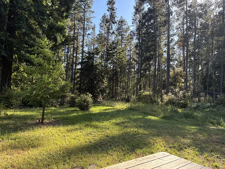 View of back yard