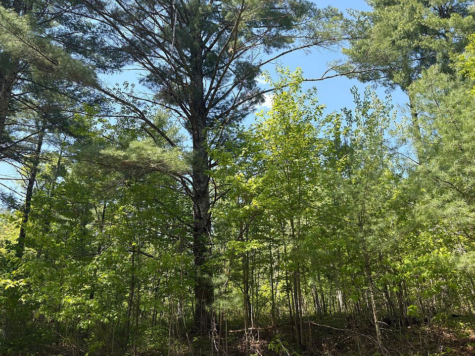 1st image of X Eagle Dr