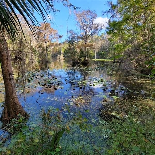Nine Island Cove Blvd, Dunnellon, FL 34431 MLS T3428900 Zillow