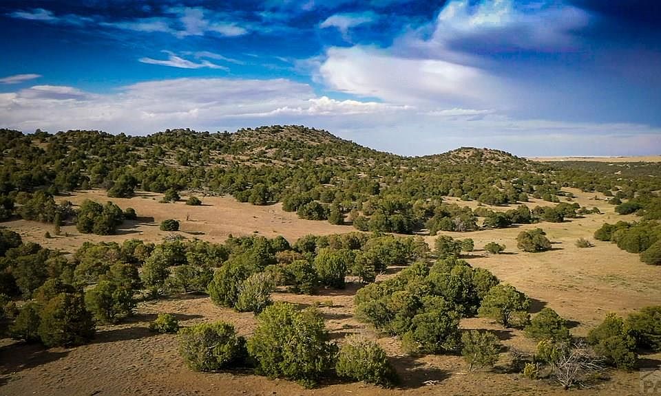 491 Ketchum Rd Walsenburg CO Zillow