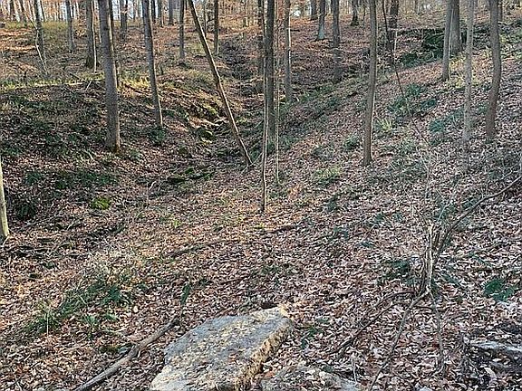 Beautiful wooded full acre l