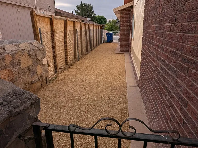 Side yard of house.