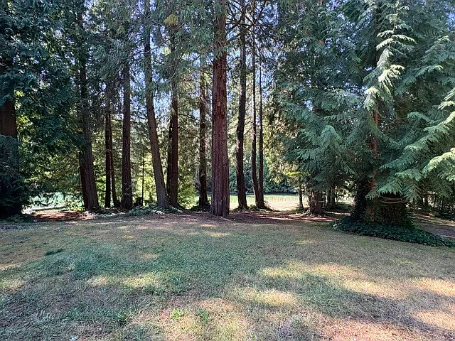 2 bed, 1.0 bath, 818 sqft, $1,850 — Photo 3