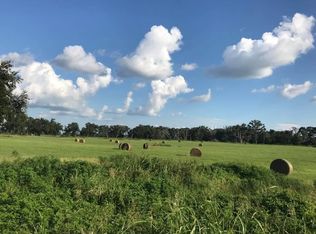 364 SE Maltese Rd, Mayo, FL 32066