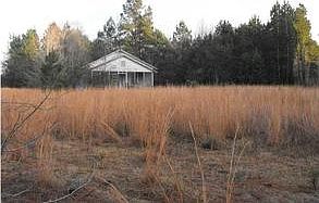 2nd image of 962 Weans Rd