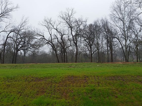Winter. Dormant Pecan trees.