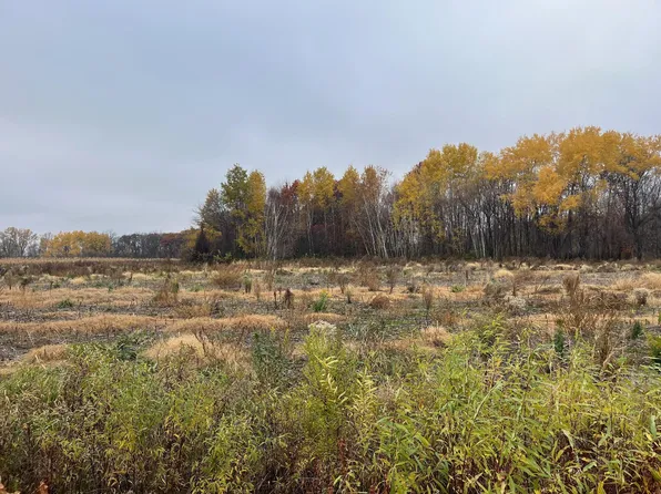 LOT 2 Brunswick Rd, Stanchfield, MN 55080