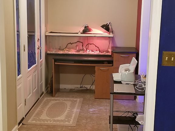 Foyer/Front Entrance