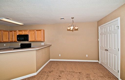 3rd image of 317 Tyler Ct Unit 202