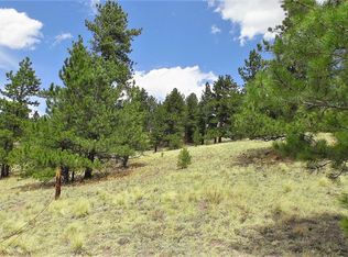 LOT 60 B Rd, Guffey, CO 80820