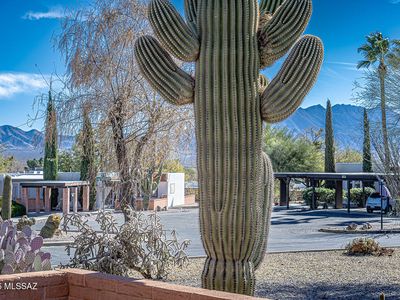 211 N Cactus Loop, Green Valley, AZ, 85614